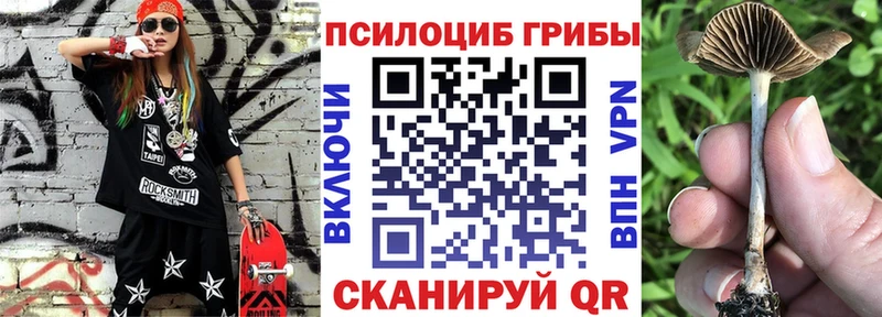 цены наркотик  Бирюч  Псилоцибиновые грибы прущие грибы 